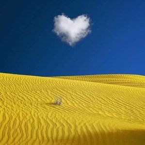 Meet your Posher, Simona